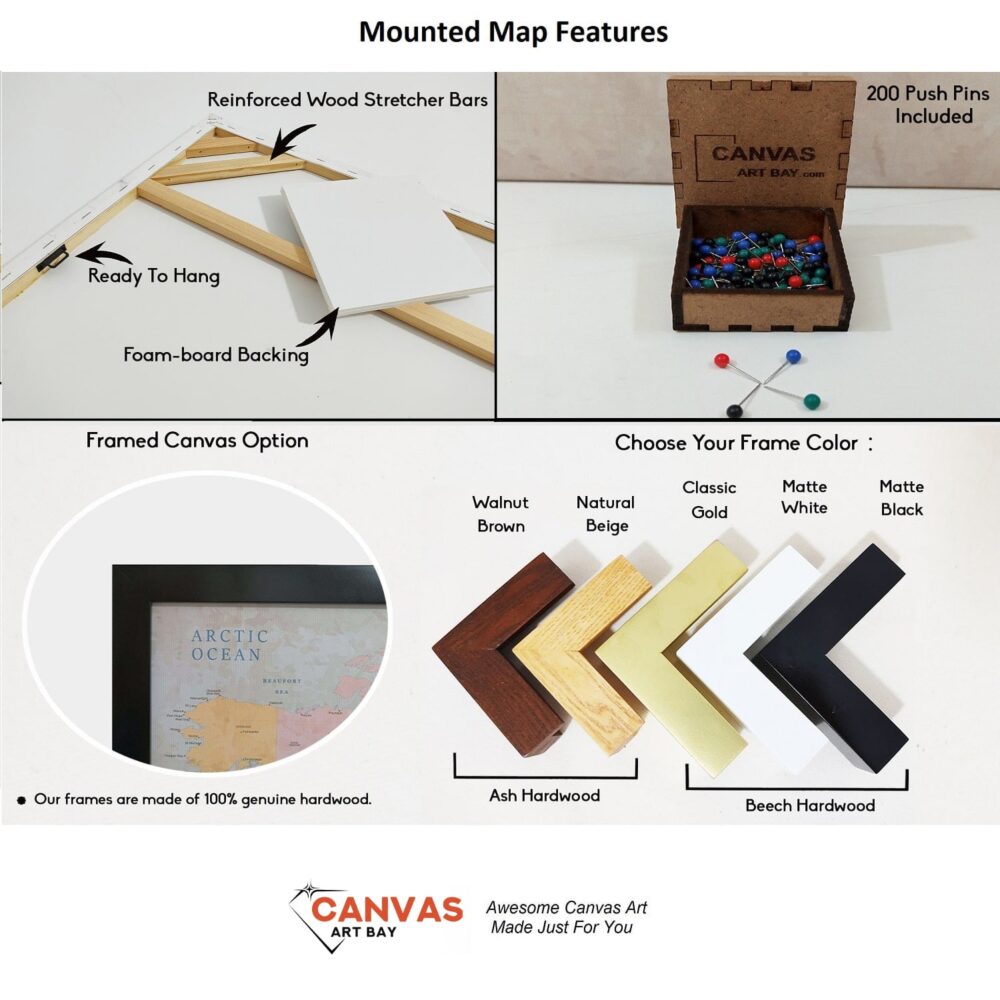 framed mounted world map features