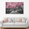 1 panels Central Park in Bloom canvas art