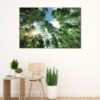 1 panels bamboo trees sunlight canvas art