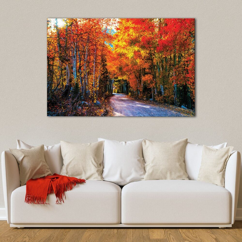 1 panels colorful forest canvas art