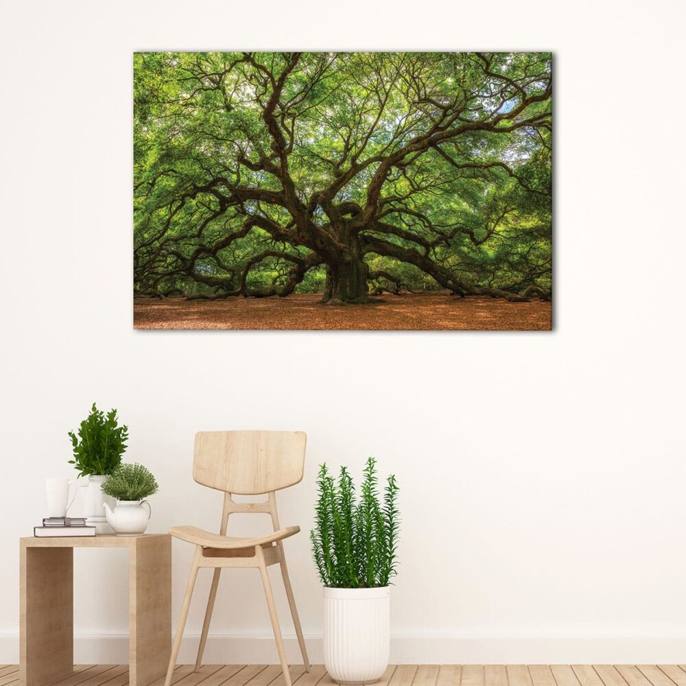 1 panels great oak tree canvas art