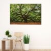 1 panels great oak tree canvas art