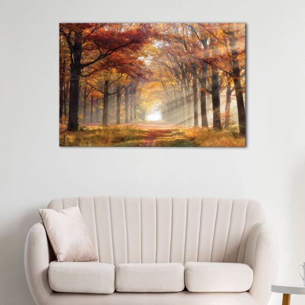 1 panels sun shining through forest canvas art