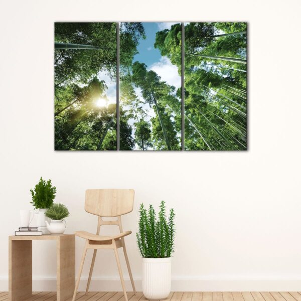 3 panels bamboo trees sunlight canvas art