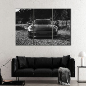 3 panels black & white porshe canvas art