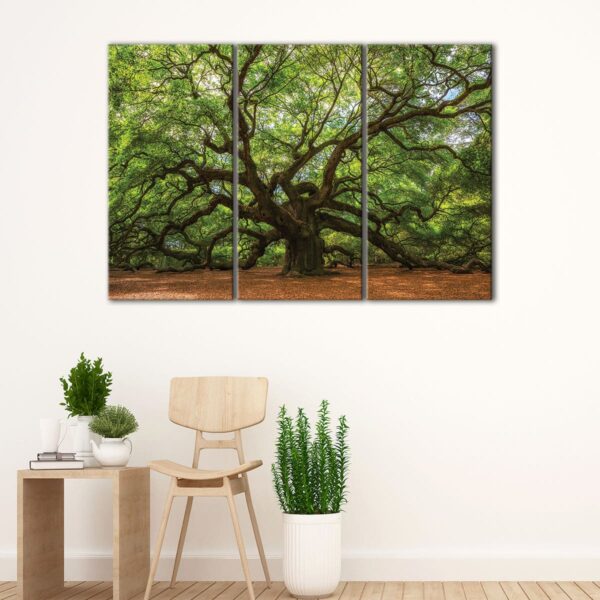 3 panels great oak tree canvas art