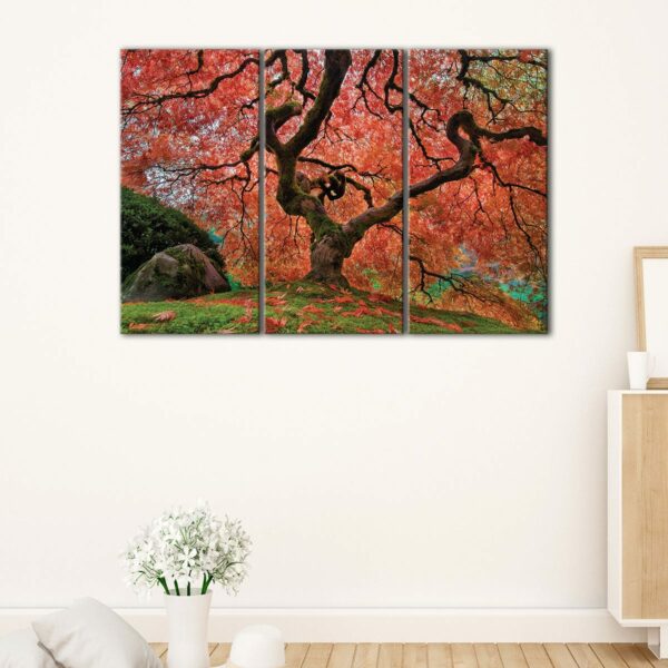 3 panels old maple tree japan canvas art