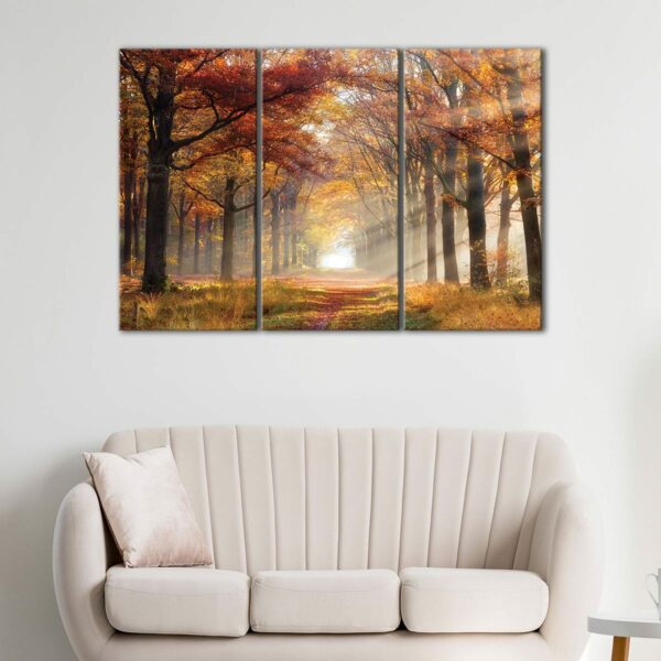 3 panels sun shining through forest canvas art