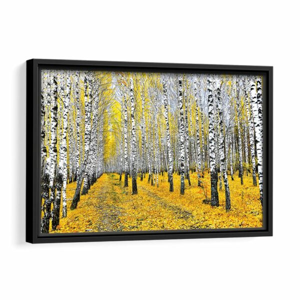 autumn birch trees framed canvas black frame