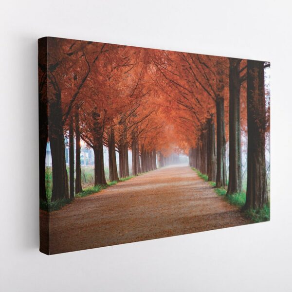 autumn forest road stretched canvas