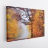 autumn forest stretched canvas