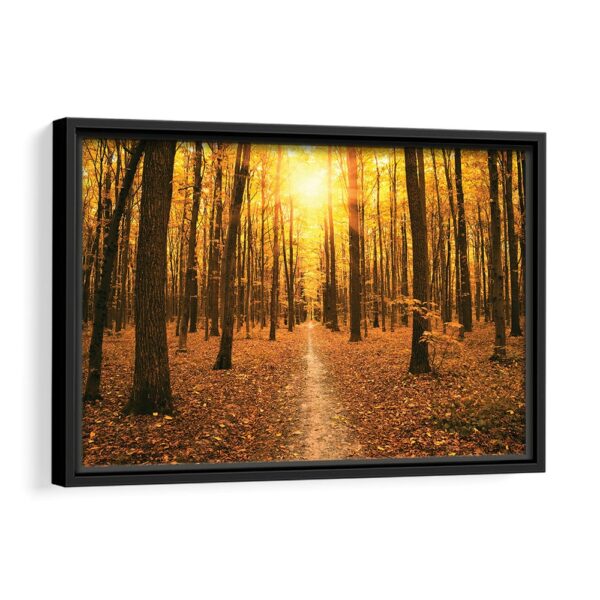 autumn forest sunset framed canvas black frame