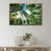 bamboo trees sunlight floating frame canvas