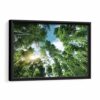 bamboo trees sunlight framed canvas black frame