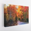 colorful forest stretched canvas