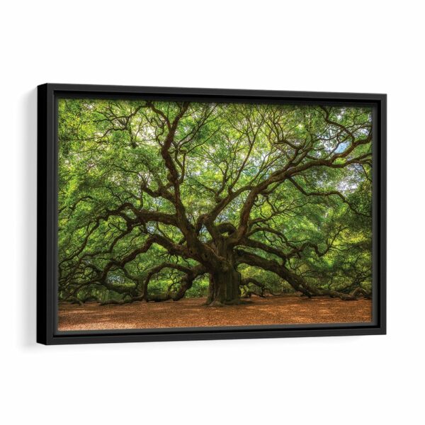 great oak tree framed canvas black frame