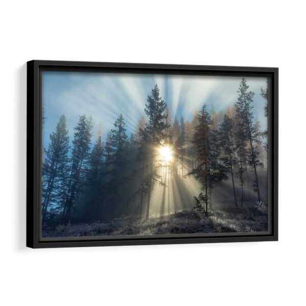 misty forest sunrise framed canvas black frame