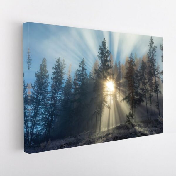 misty forest sunrise stretched canvas