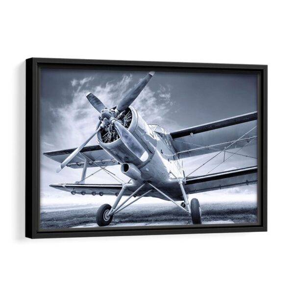 old biplane framed canvas black frame