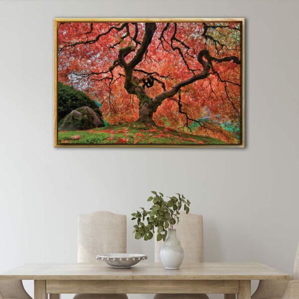 old maple tree japan floating frame canvas