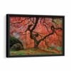 old maple tree japan framed canvas black frame