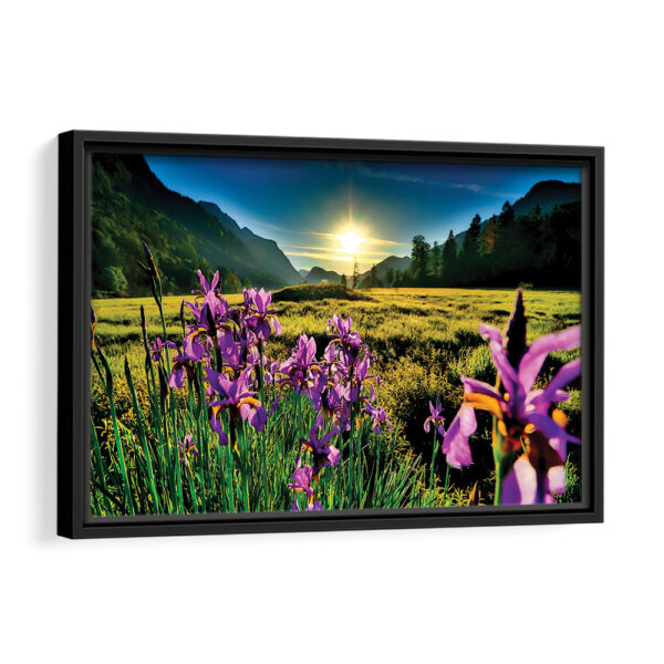 orchids field sunrise framed canvas black frame