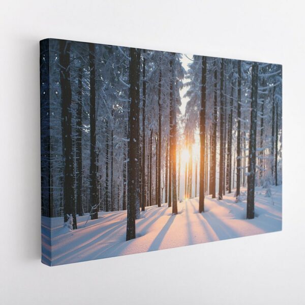 snow forest sunshine stretched canvas