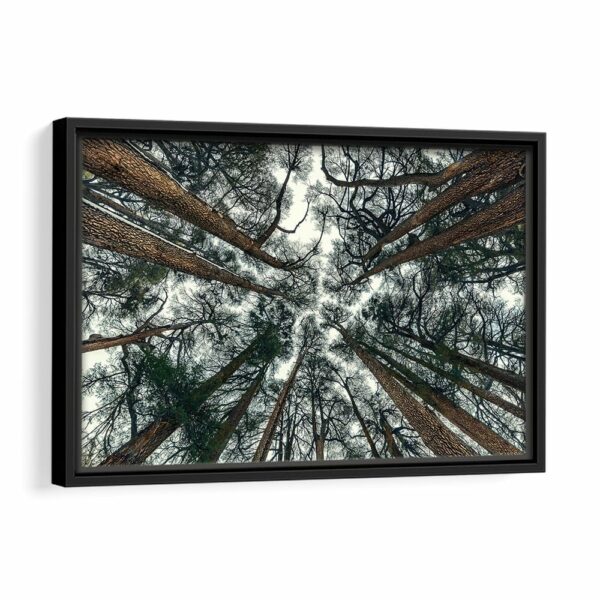 tree branches framed canvas black frame