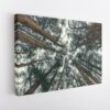 tree branches stretched canvas