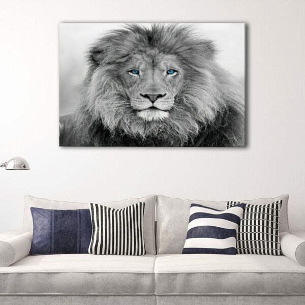 1 panels blue eyes lion canvas art