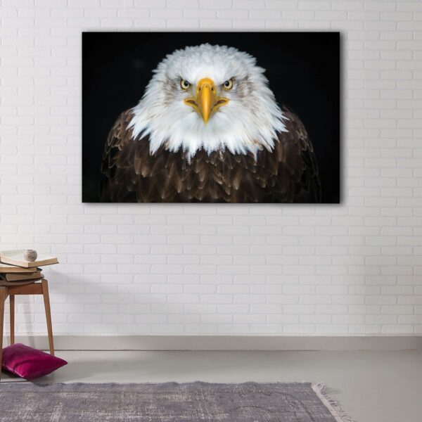 1 panels bold eagle canvas art