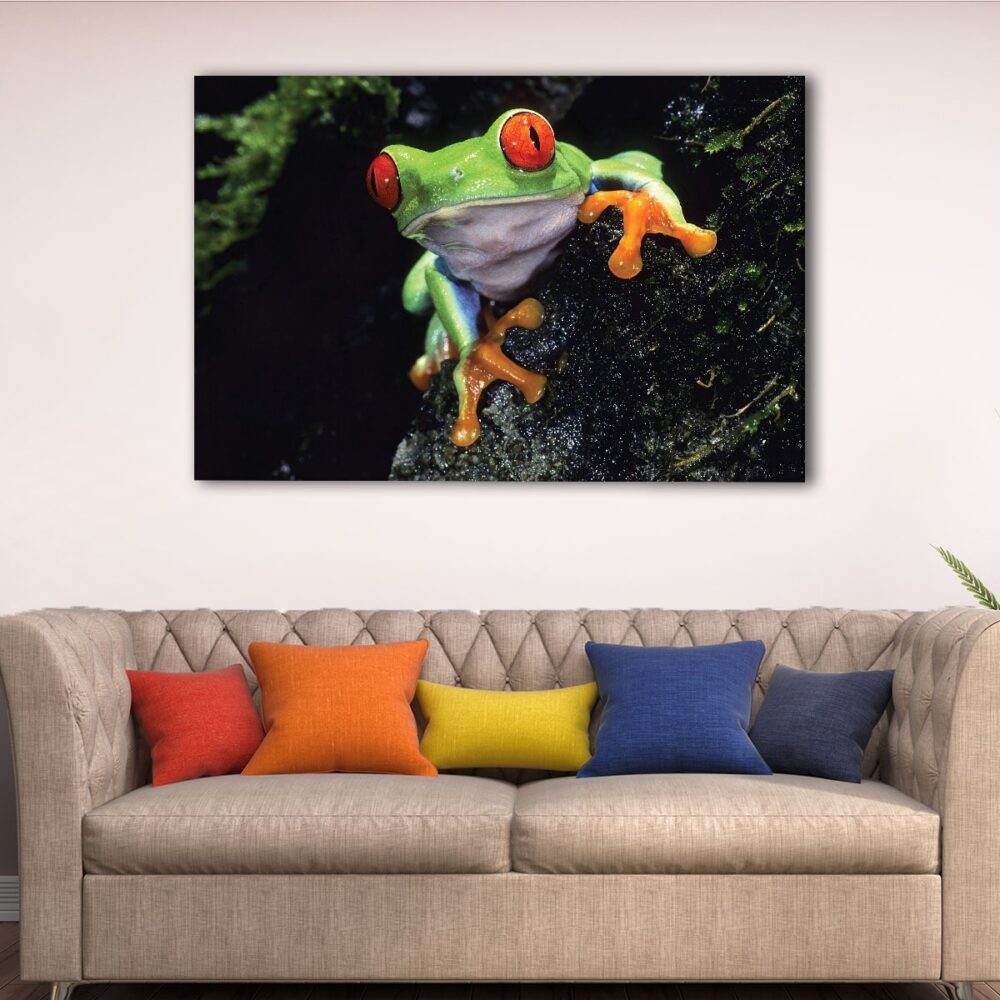 1 panels cute frog canvas art