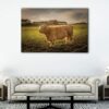 1 panels highland cattle canvas art