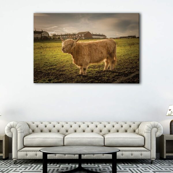 1 panels highland cattle canvas art