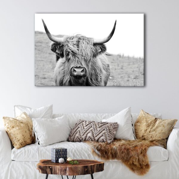 1 panels highland cow canvas art