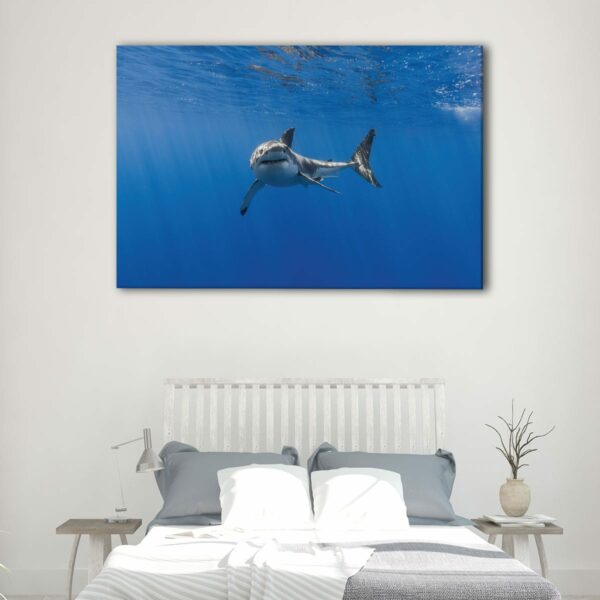 1 panels shark underwater canvas art