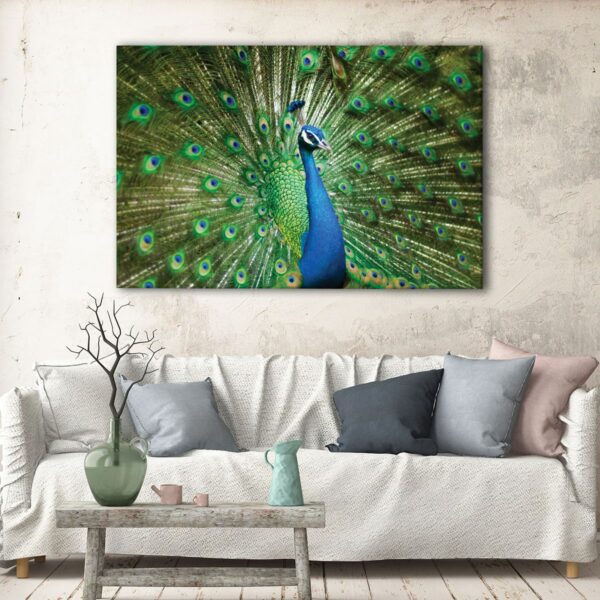 1 panels wonderful peacock canvas art