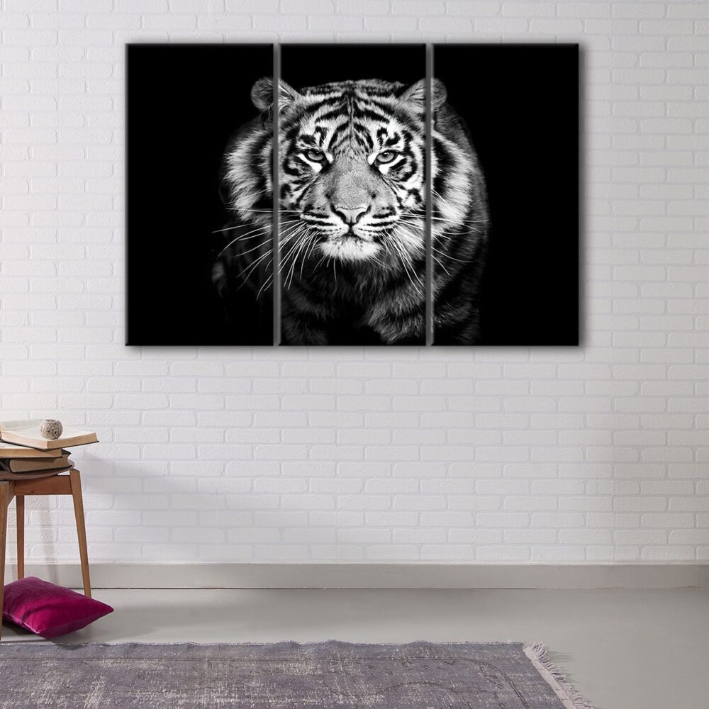 3 panels black and white tiger canvas art