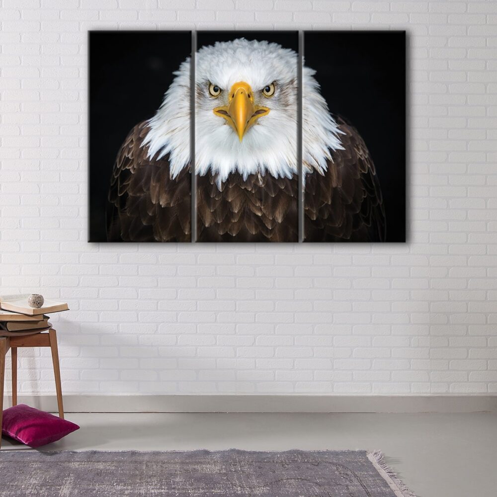 3 panels bold eagle canvas art