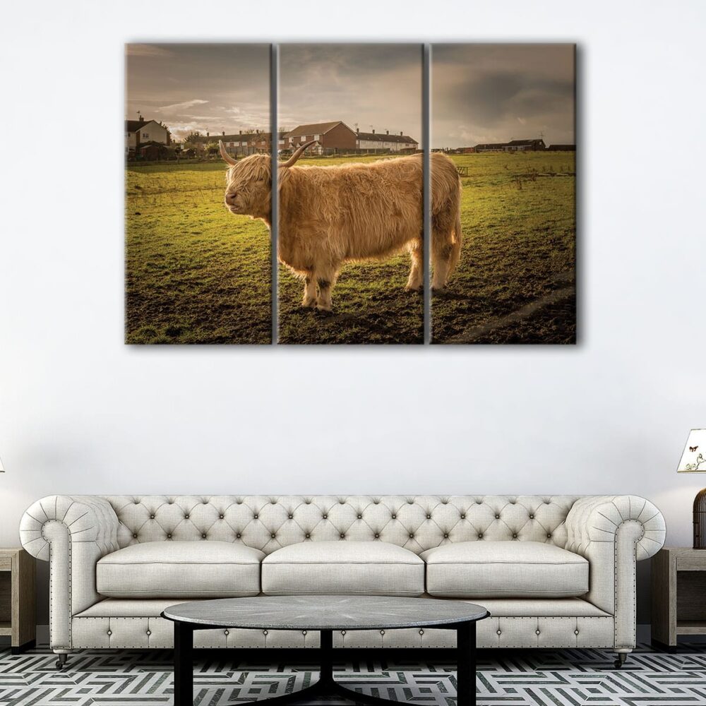 3 panels highland cattle canvas art