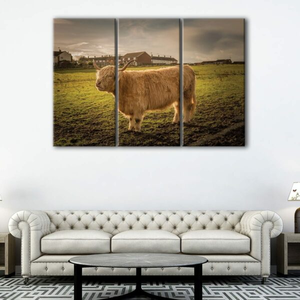 3 panels highland cattle canvas art