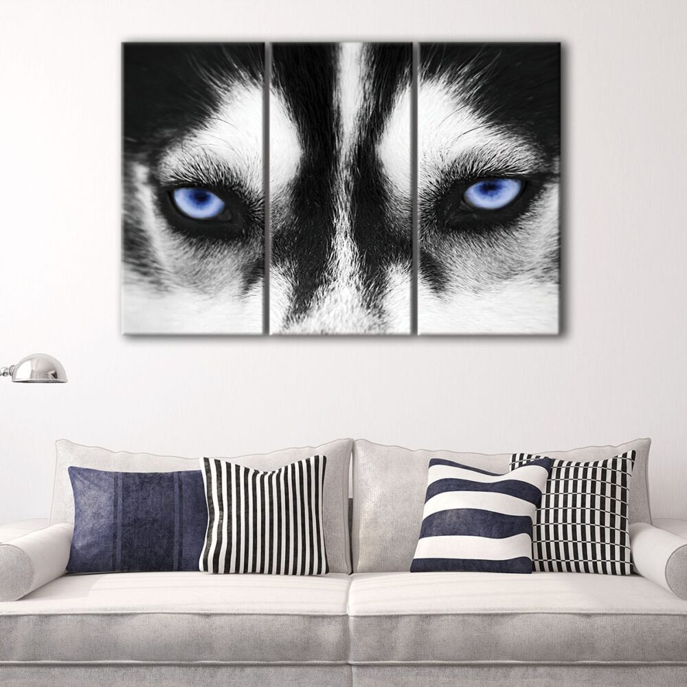 3 panels husky eyes canvas art