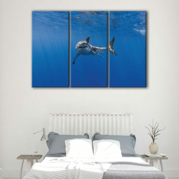 3 panels shark underwater canvas art