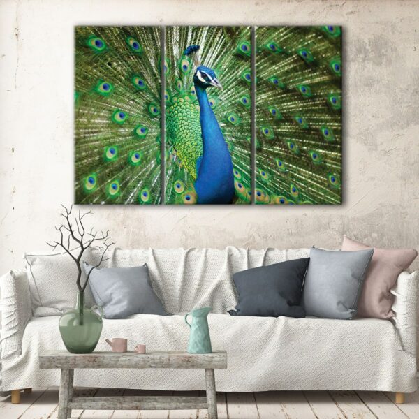 3 panels wonderful peacock canvas art