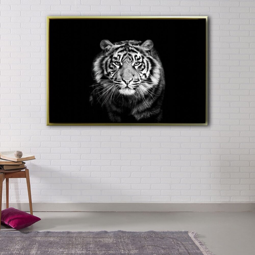 black and white tiger floating frame canvas