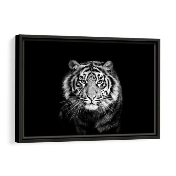 black and white tiger framed canvas black frame