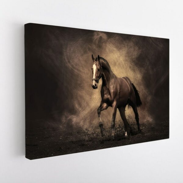 black horse stretched canvas