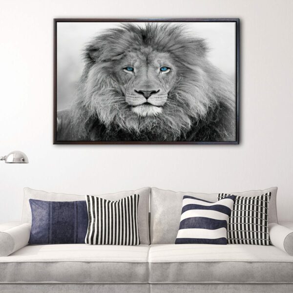 blue eyes lion floating frame canvas