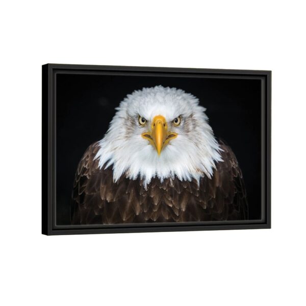 bold eagle framed canvas black frame