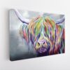 colorful highland cow stretched canvas